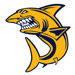 Opponent Logo
