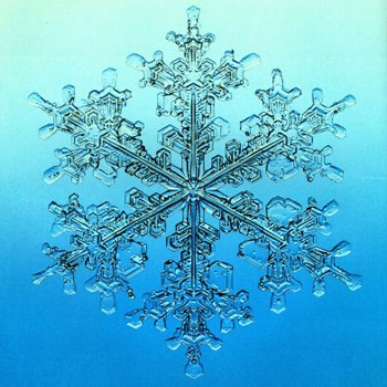 Snow Causes Cancellation of Pioneer Valley Invitational