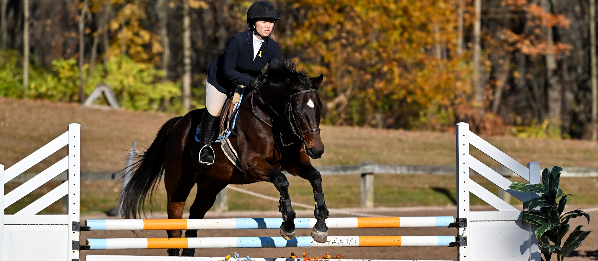 Senior captain Camille Cheng and Mount Holyoke tied for second place among 11 teams at the Mount Holyoke Show of Nov. 16, 2024. (RJB Sports file photo)