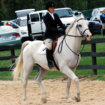Sixteen Riders Compete in Regional Championships