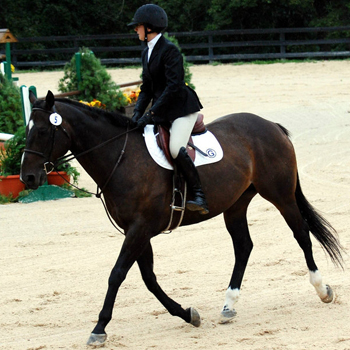 Riding Earns Reserve Championship at Amherst Show
