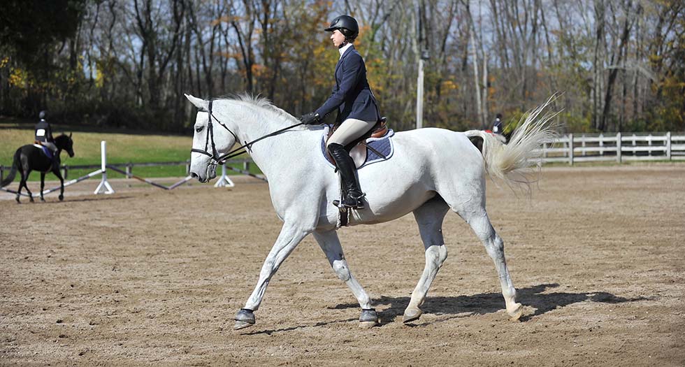 Riding Finishes 10th at IHSA National Championships