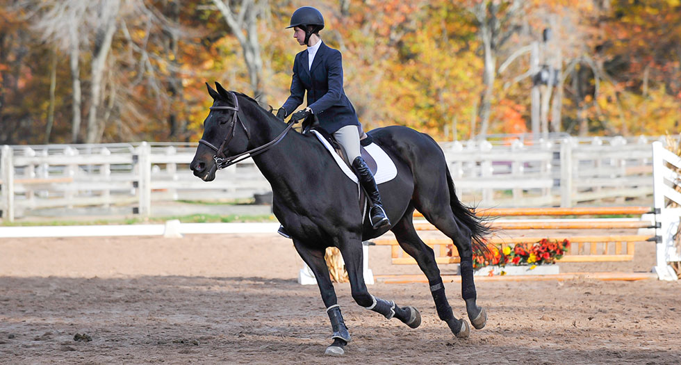 Bridget Finnerty '17