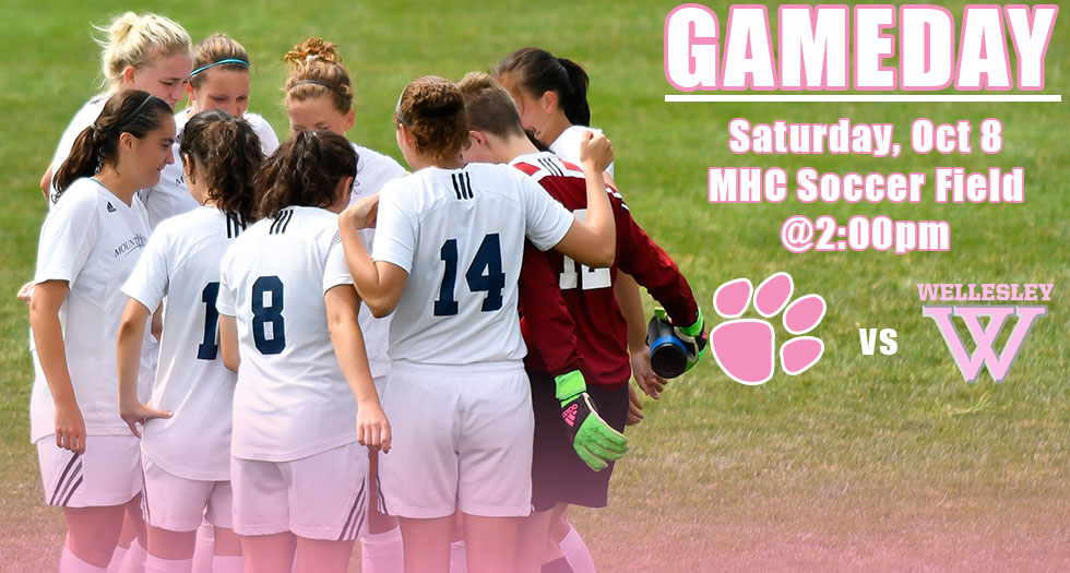Lyons Game Day Central: Soccer vs. Wellesley on Wednesday